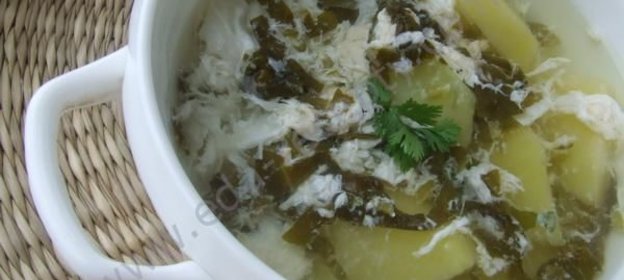 Зеленые щи из щавеля с яйцом без мяса