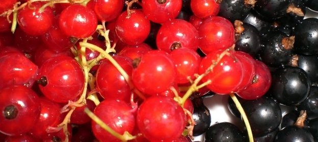 Смородиновый маринад