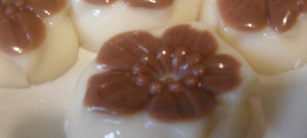 Желе из топлёного молока с шоколадом