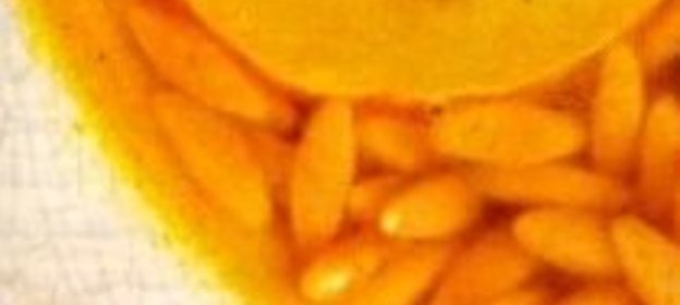 Брусничный соус