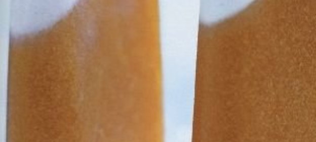 Аргентинская луковая пицца