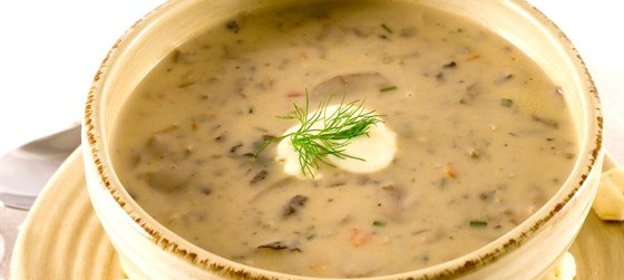 Грибной суп на курином бульоне