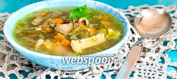 Суточные щи