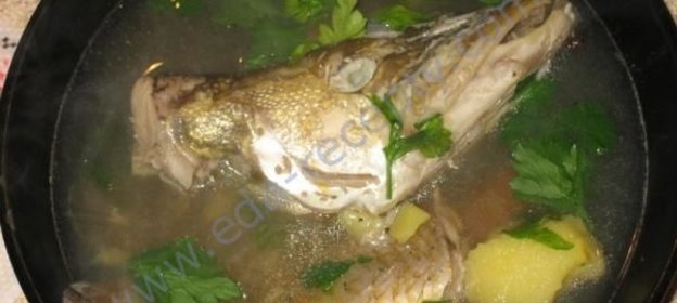 Уха из щуки