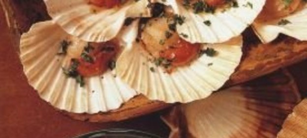 Жареные морские гребешки и кальмары