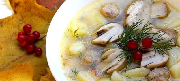 Суп из белых грибов на мясном бульоне