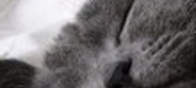 Пицца с креветками