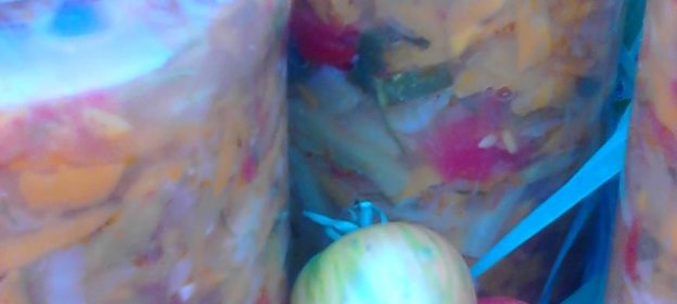 Салат Вдоль по огороду