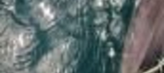 Грибной бульон