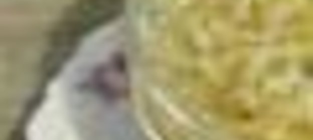 Японская гречневая лапша