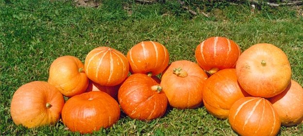 Тыква запеченная с фруктами