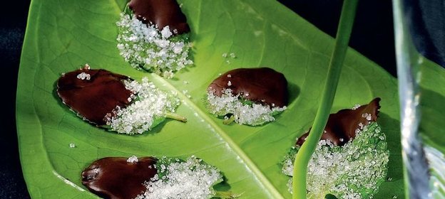 Мятные листья в шоколаде