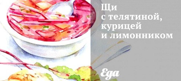 Щи с телятиной, курицей и лимонником