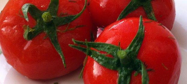 Помидорчики соленые (вариант)