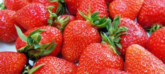 Дичь жареная