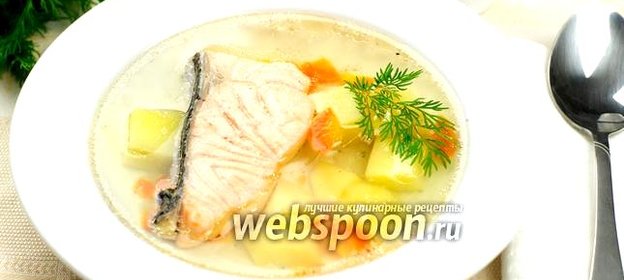 Уха из сёмги