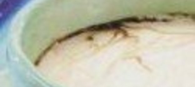 Послеобеденный кофе (After-Dinner Coffee)