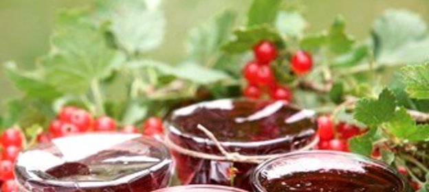 Желе из красной смородины