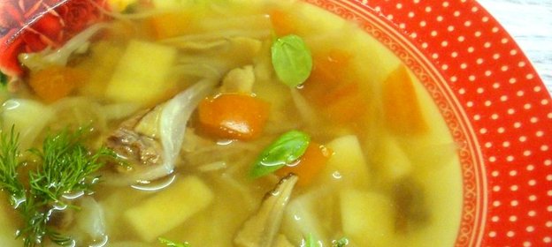 Щи на говяжьем бульоне