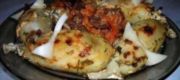 морские слоны