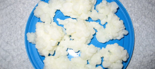 Кефир домашний