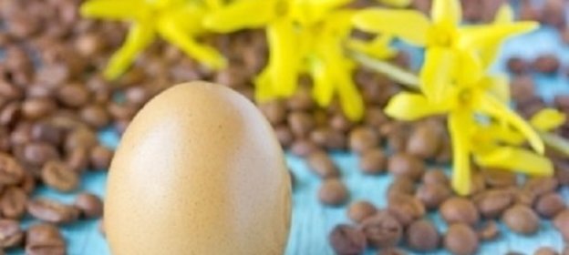 Крашеные яйца кофе (коричневые)