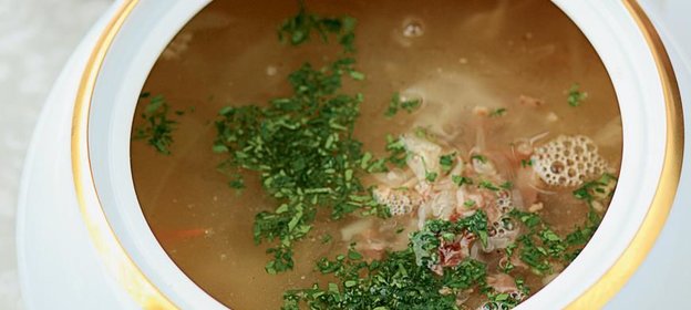 Богатые кислые щи с цесаркой и говядиной