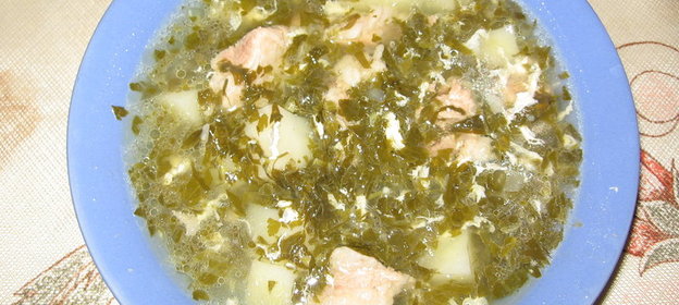 Борщ зеленый (Щи зеленые)