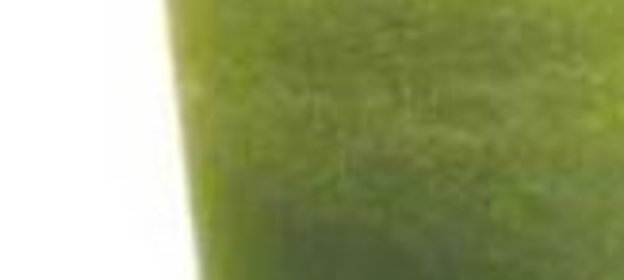 Суп-пюре из свежих огурцов с сырными палочками