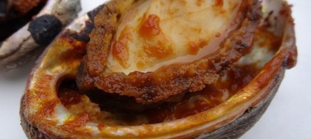 Морское Ушко, или Живые Абалоне на Гриле