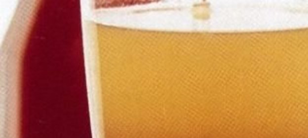 Салат со стручковой фасолью с помидорами