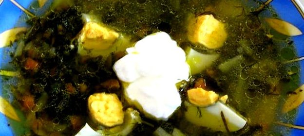 Щи из шпината