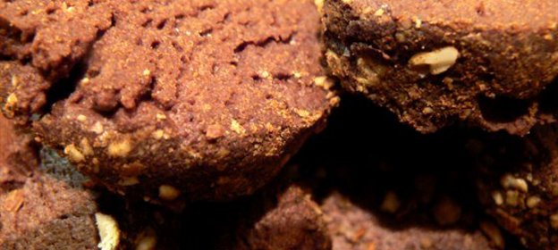 Шоколадно-миндальное печенье