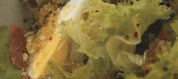 Паровые овощи с маслом и травами