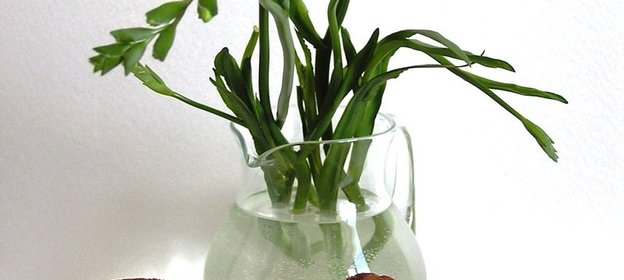 Сдобные коричные булочки- витушки. Для именинницы