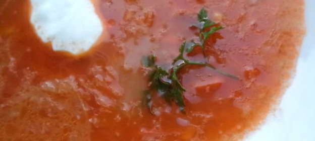 Щи из квашеной капусты с мясом