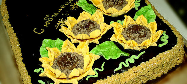 Мишка на севере