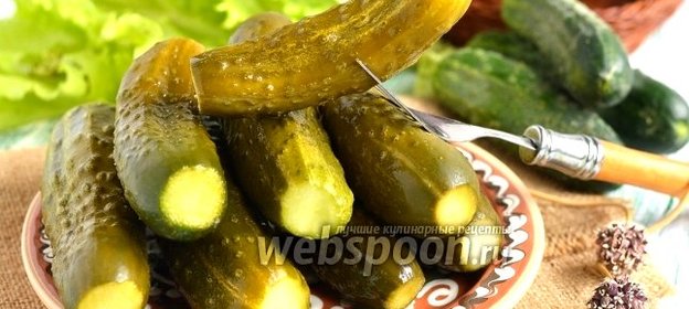 Малосольные огурцы на белом хлебе