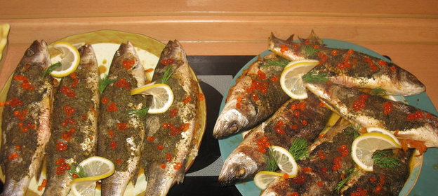 фаршированный морской волк