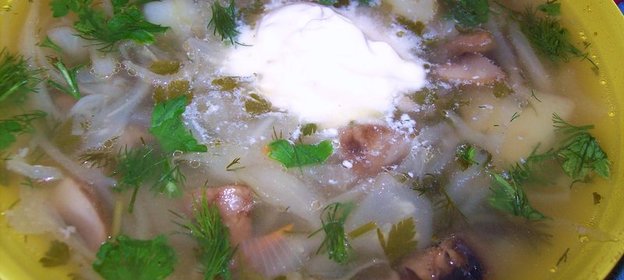 Щи с квашеной капустой и грибами в духовке