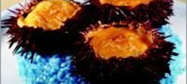 Жюльен из морского ежа