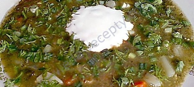 Щи зеленые