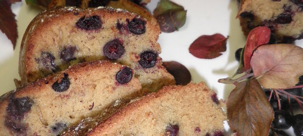 Кекс из черноплодной рябины