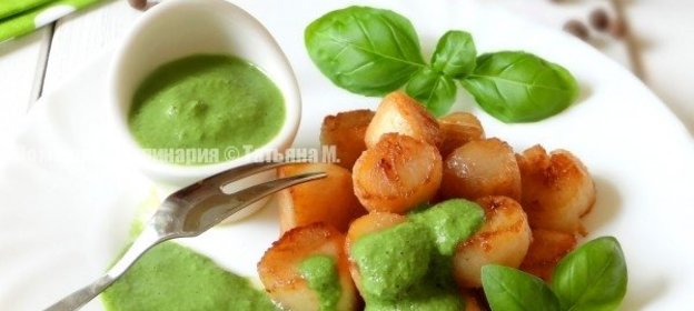 Морские гребешки с щавелевым соусом