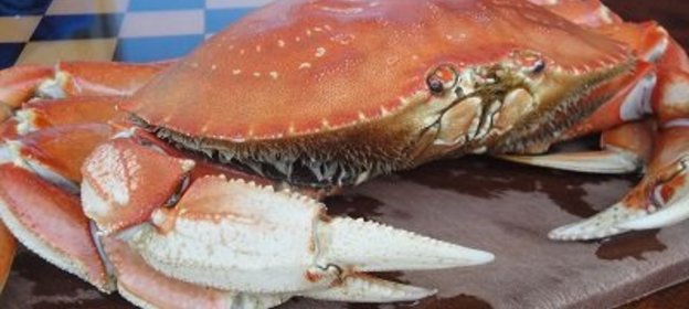 Салат Красный Дракон