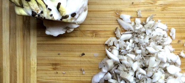 Сливочный соус с вешенками