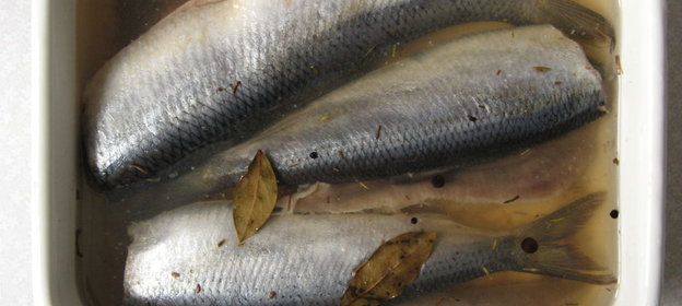 Селедочка соленая