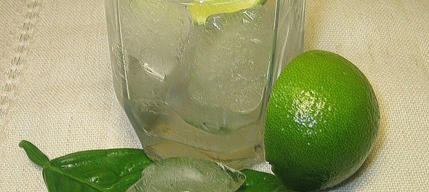 Морской конёк